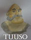 tuuso