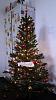 Pulsa en la imagen para verla en tamaño completo

Nombre: BB_Pandur's Christmas Tree.jpg
Visitas: 648
Tamaño: 47.1 KB
ID: 1555